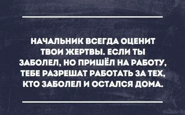 Немного юмора в рабочую ленту…
Какая цитата больше подходит именно вам? | Сетка — социальная сеть от hh.ru