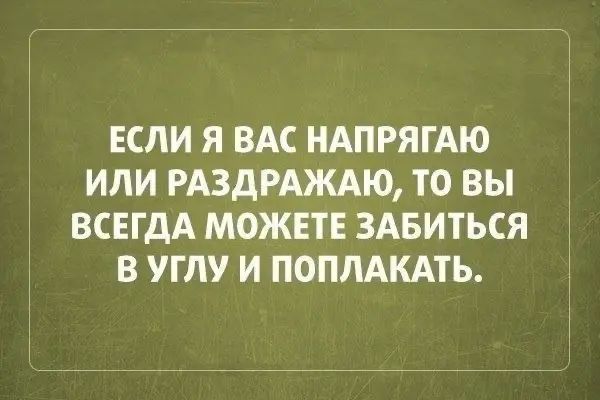Немного юмора в рабочую ленту…
Какая цитата больше подходит именно вам? | Сетка — социальная сеть от hh.ru