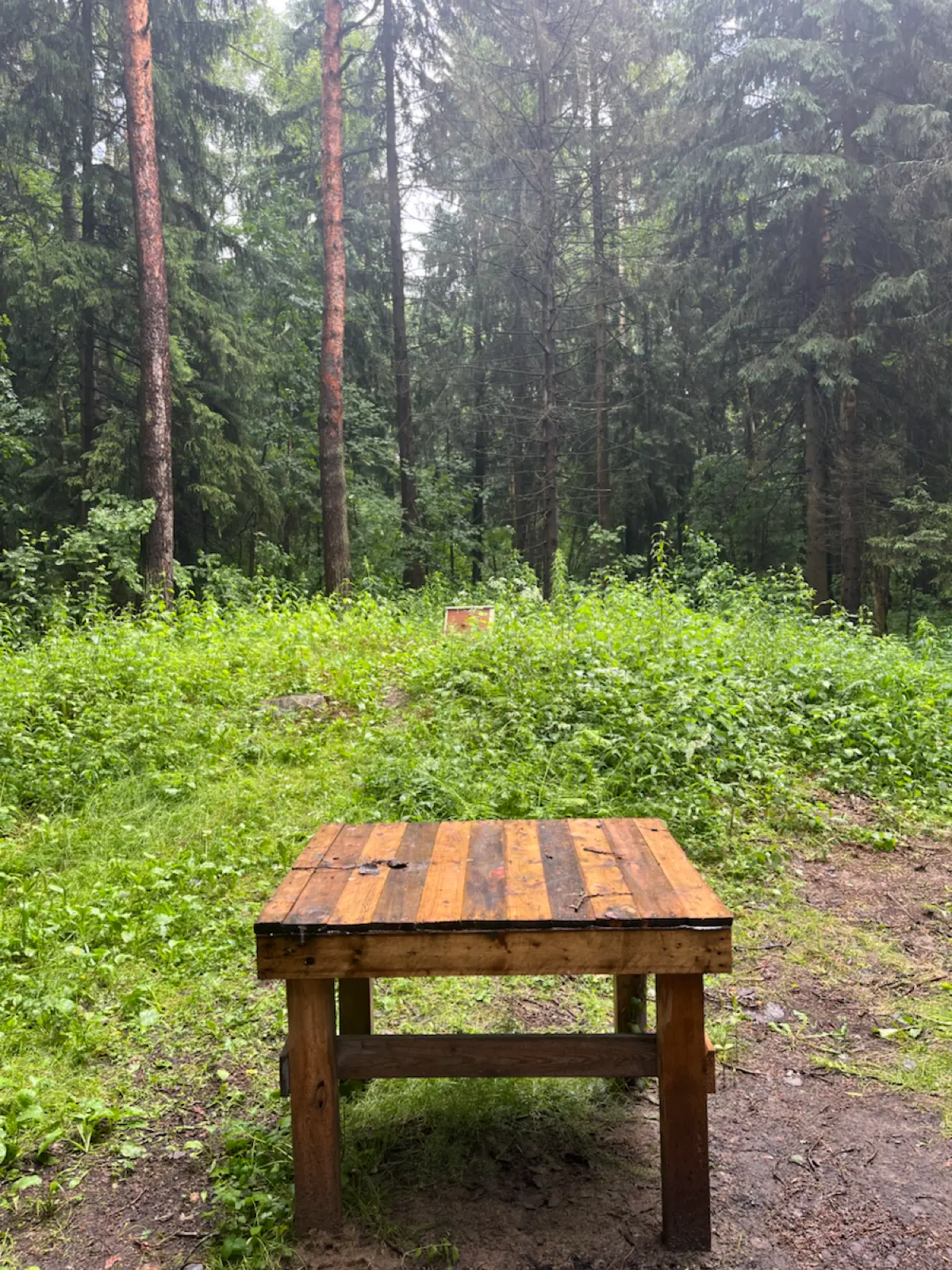 Урочище Гвоздно | Сетка — социальная сеть от hh.ru
