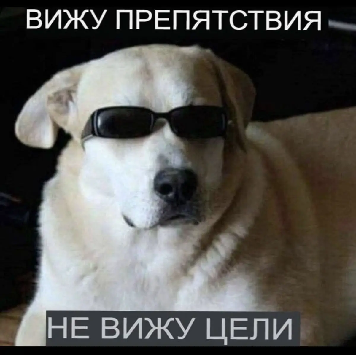 Нужен совет от умных людей | Сетка — социальная сеть от hh.ru