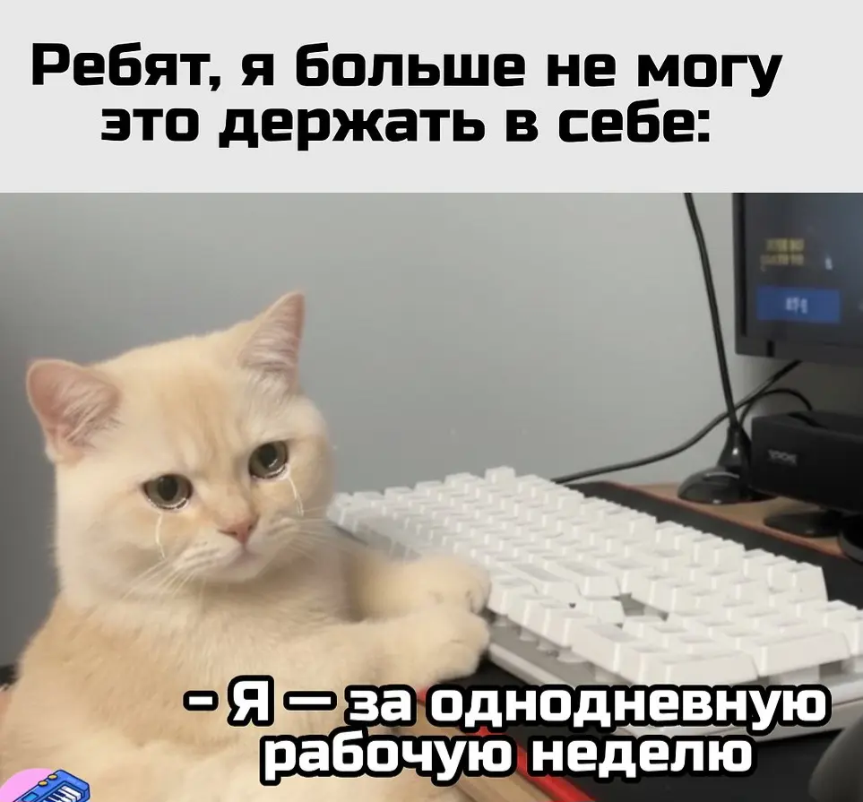 ❓️❓️❓️❓️❓️ | Сетка — социальная сеть от hh.ru