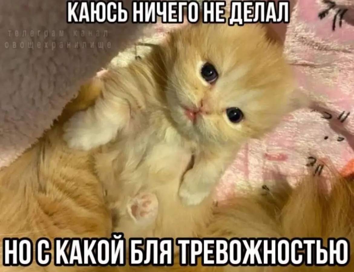 Ничего не делать — тоже решение
Прошлый кейс был выдуманным, но такое реально случается — если ты руководитель, у тебя часто выбор между мягким и тёплым, а нужно зелёное | Сетка — социальная сеть от hh.ru