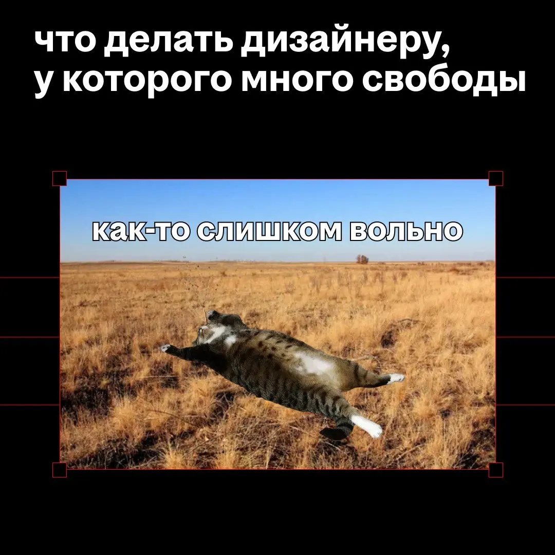 как вогнать дизайнера в ступор за один шаг
скажите ему: «делай как хочешь» и не давайте ТЗ
готово — дизайнер в ступоре
обычно мы мечтаем о свободе от жестких гайдов и продуктовых ограничений, но бывае... | Сетка — социальная сеть от hh.ru