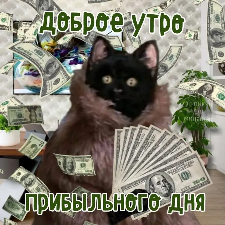 ало, ну как там с деньгами? | Сетка — социальная сеть от hh.ru