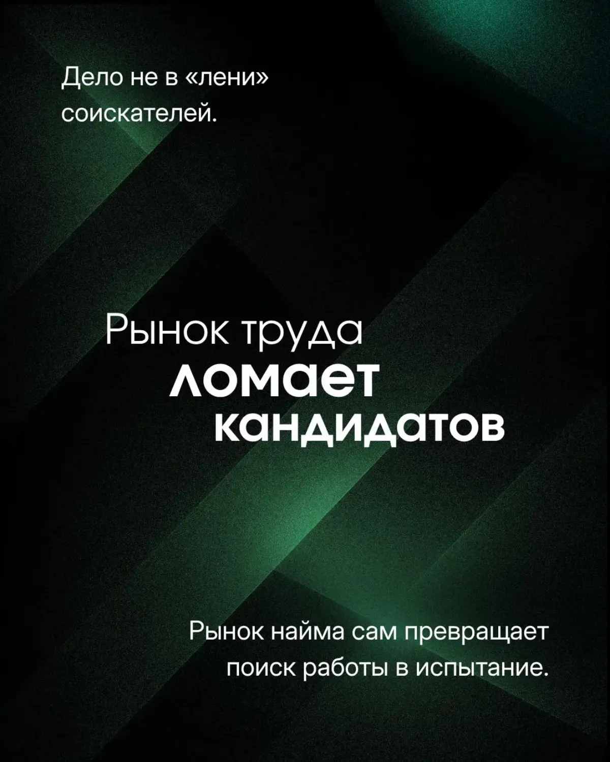 Сетка — социальная сеть от hh.ru