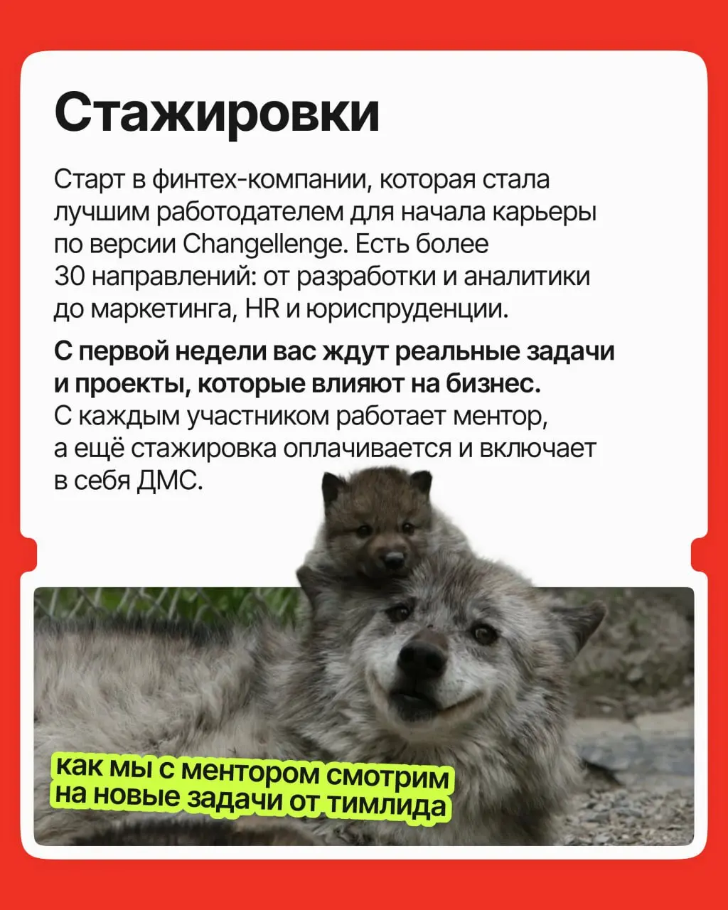Старт карьеры — сложный этап: опыта ещё нет, конкуренция высокая, а компании ищут молодого специалиста с 10 годами опыта | Сетка — социальная сеть от hh.ru