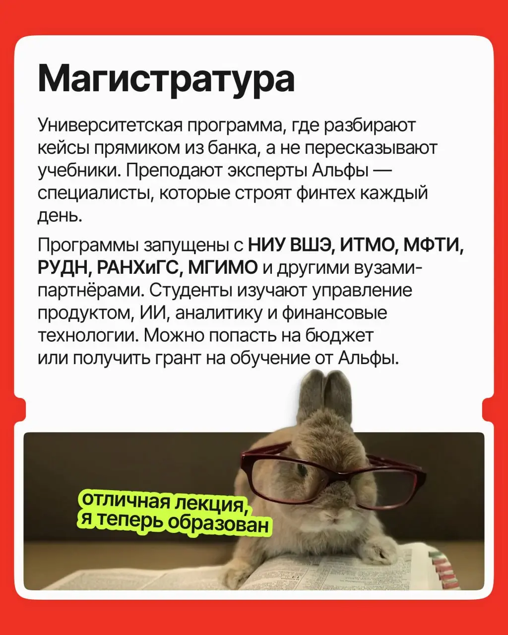 Старт карьеры — сложный этап: опыта ещё нет, конкуренция высокая, а компании ищут молодого специалиста с 10 годами опыта | Сетка — социальная сеть от hh.ru