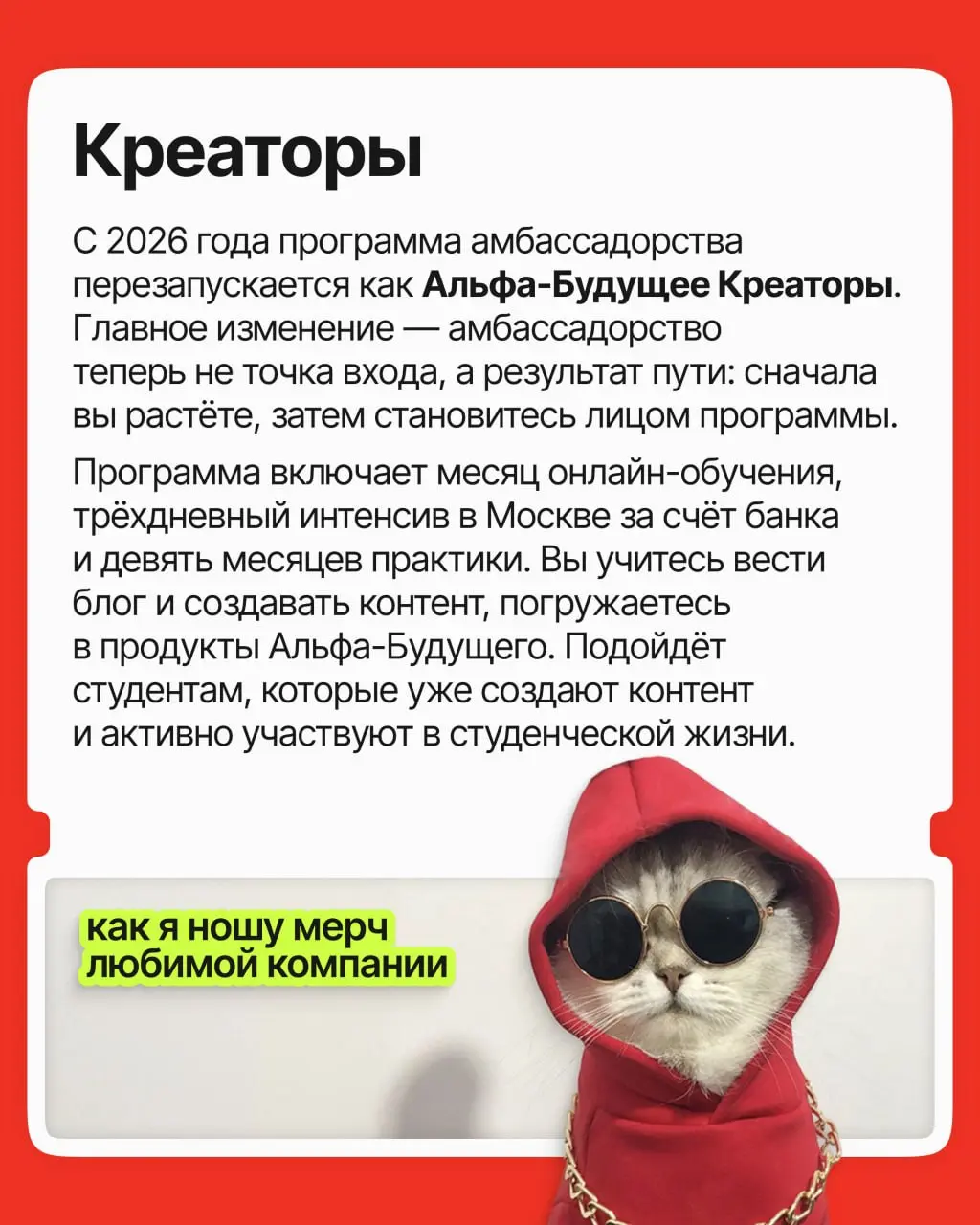 Старт карьеры — сложный этап: опыта ещё нет, конкуренция высокая, а компании ищут молодого специалиста с 10 годами опыта | Сетка — социальная сеть от hh.ru