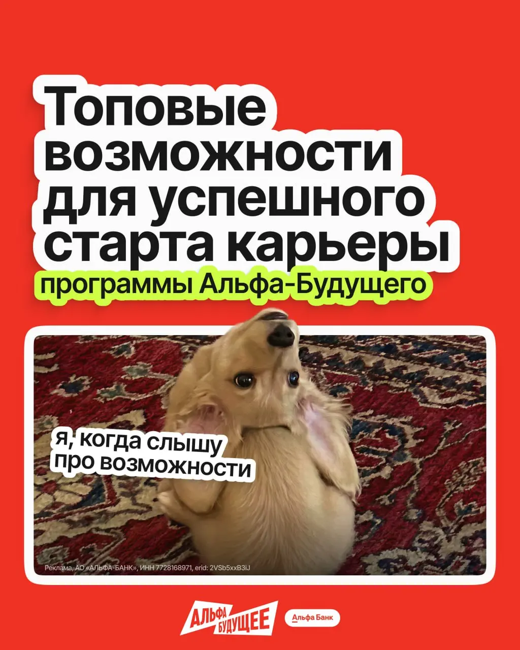 Старт карьеры — сложный этап: опыта ещё нет, конкуренция высокая, а компании ищут молодого специалиста с 10 годами опыта | Сетка — социальная сеть от hh.ru