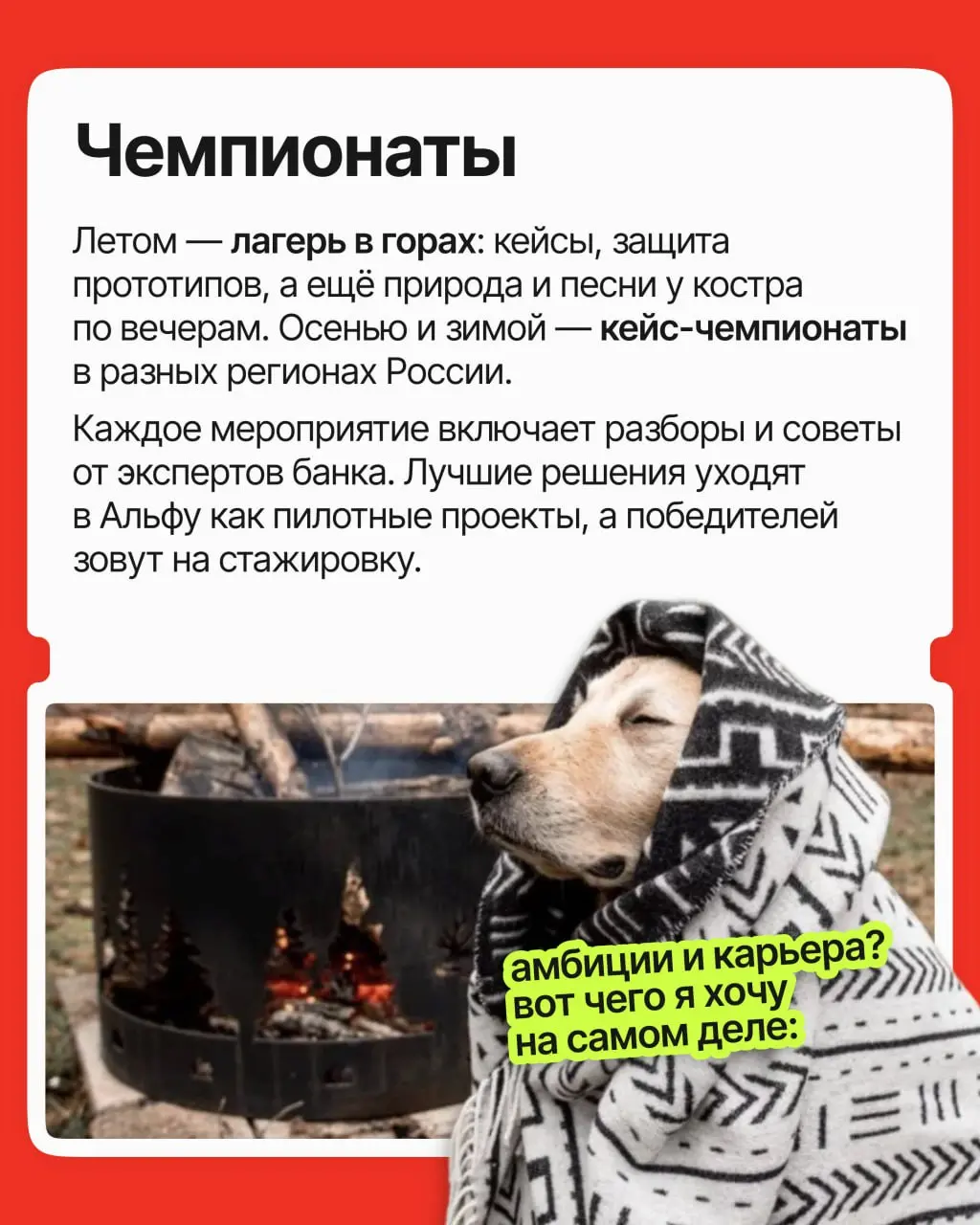 Старт карьеры — сложный этап: опыта ещё нет, конкуренция высокая, а компании ищут молодого специалиста с 10 годами опыта | Сетка — социальная сеть от hh.ru