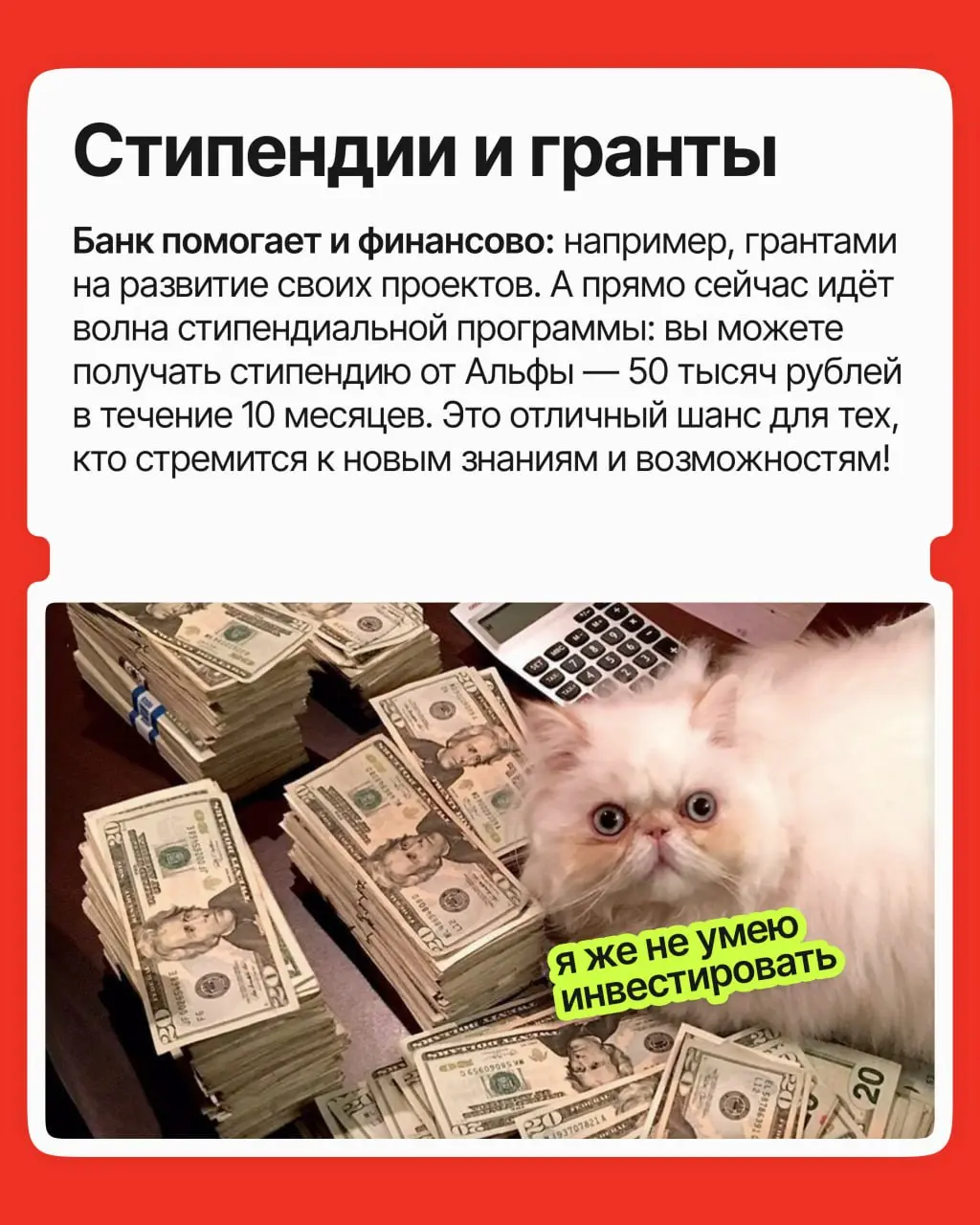 Старт карьеры — сложный этап: опыта ещё нет, конкуренция высокая, а компании ищут молодого специалиста с 10 годами опыта | Сетка — социальная сеть от hh.ru