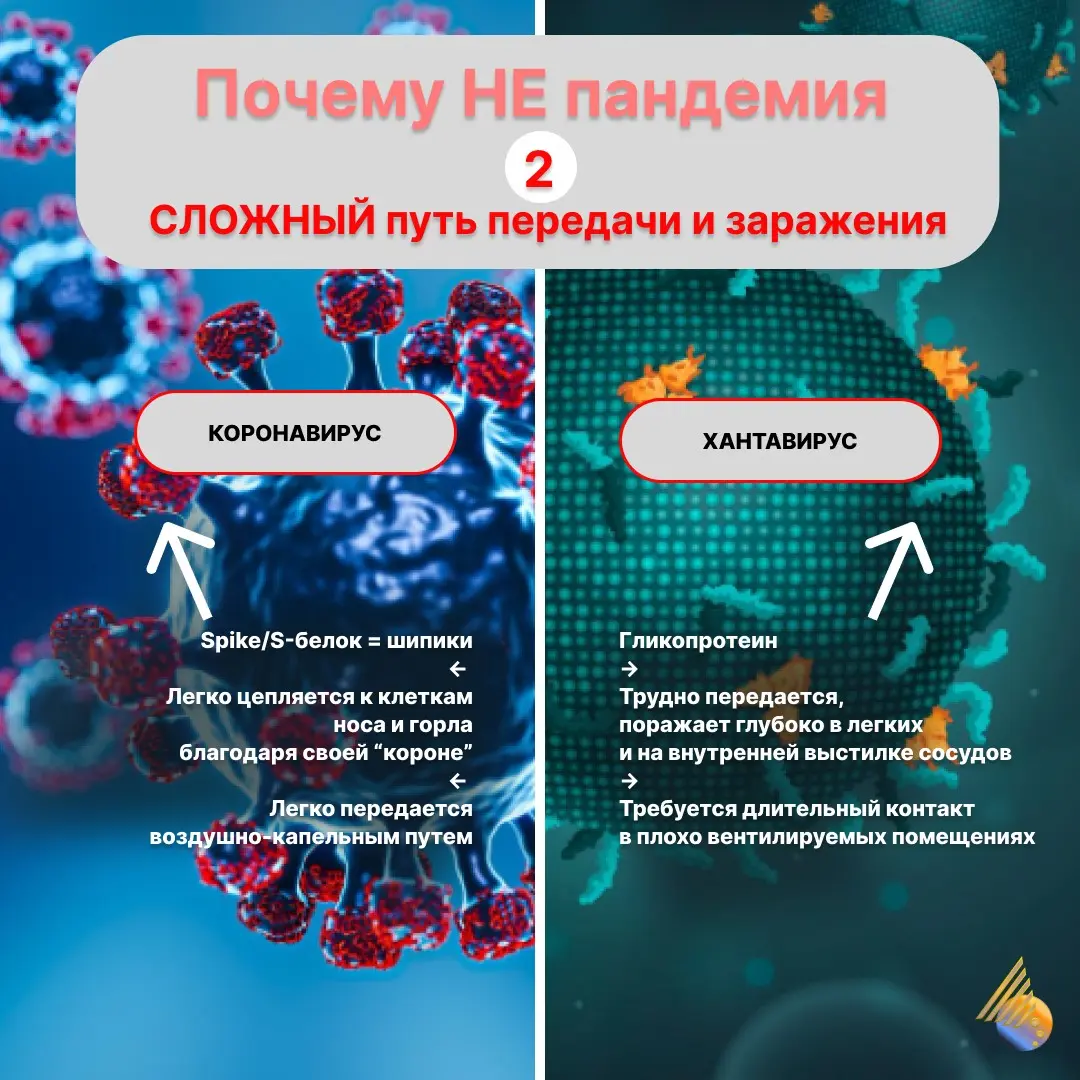 ПО СЛЕДАМ ШУМИХИ... | Сетка — социальная сеть от hh.ru
