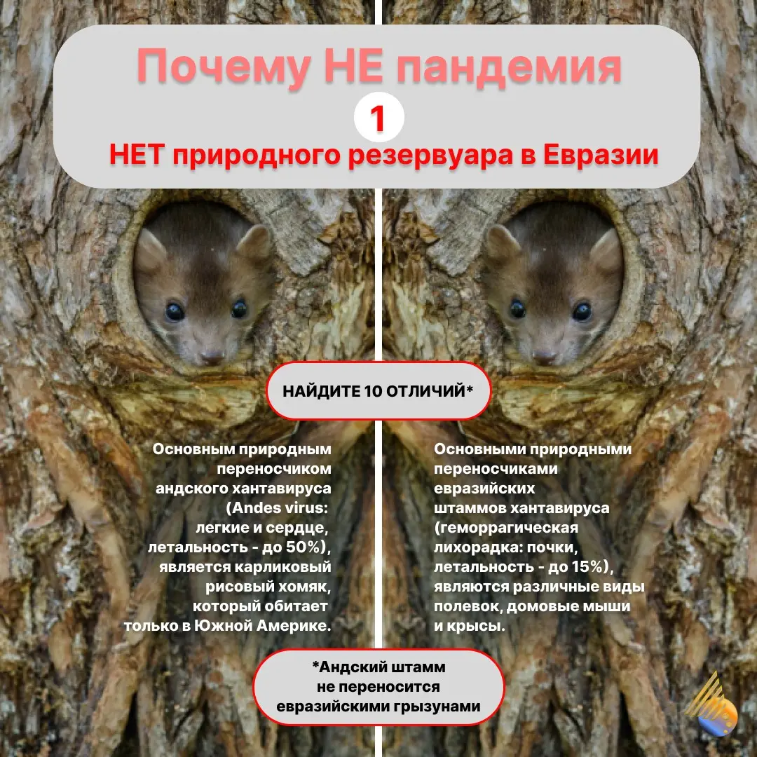 ПО СЛЕДАМ ШУМИХИ... | Сетка — социальная сеть от hh.ru