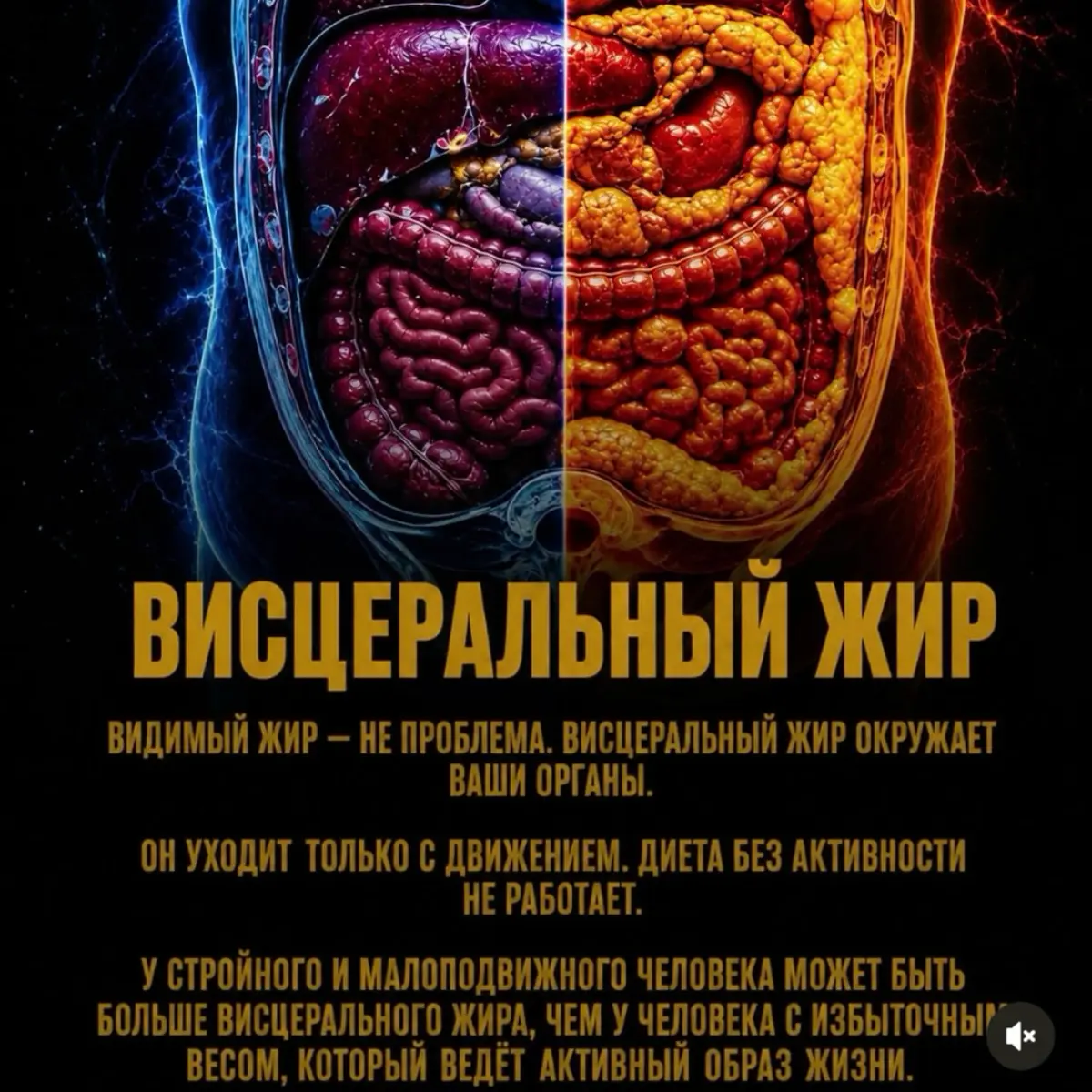 Он уходит только с движением.
#здоровье #зож #активность #физкультура #пп | Сетка — социальная сеть от hh.ru
