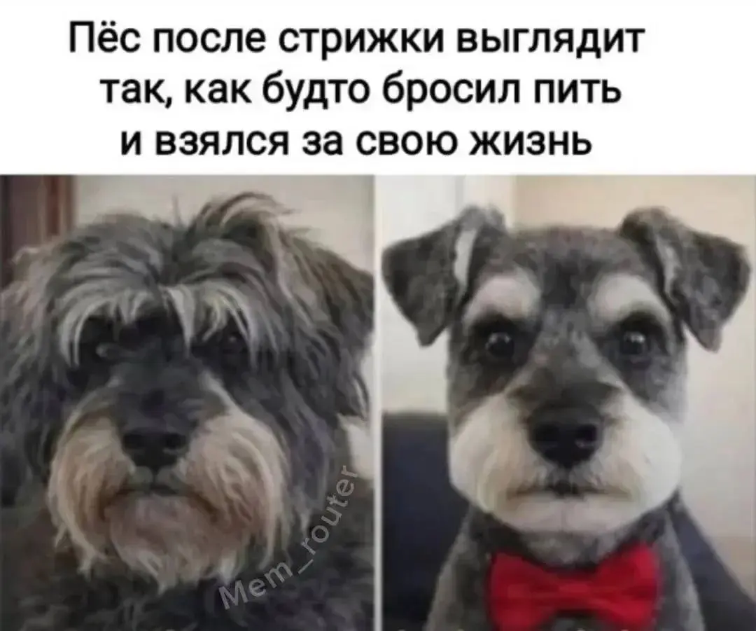 Люди Всеядного Видотипа | Сетка — социальная сеть от hh.ru