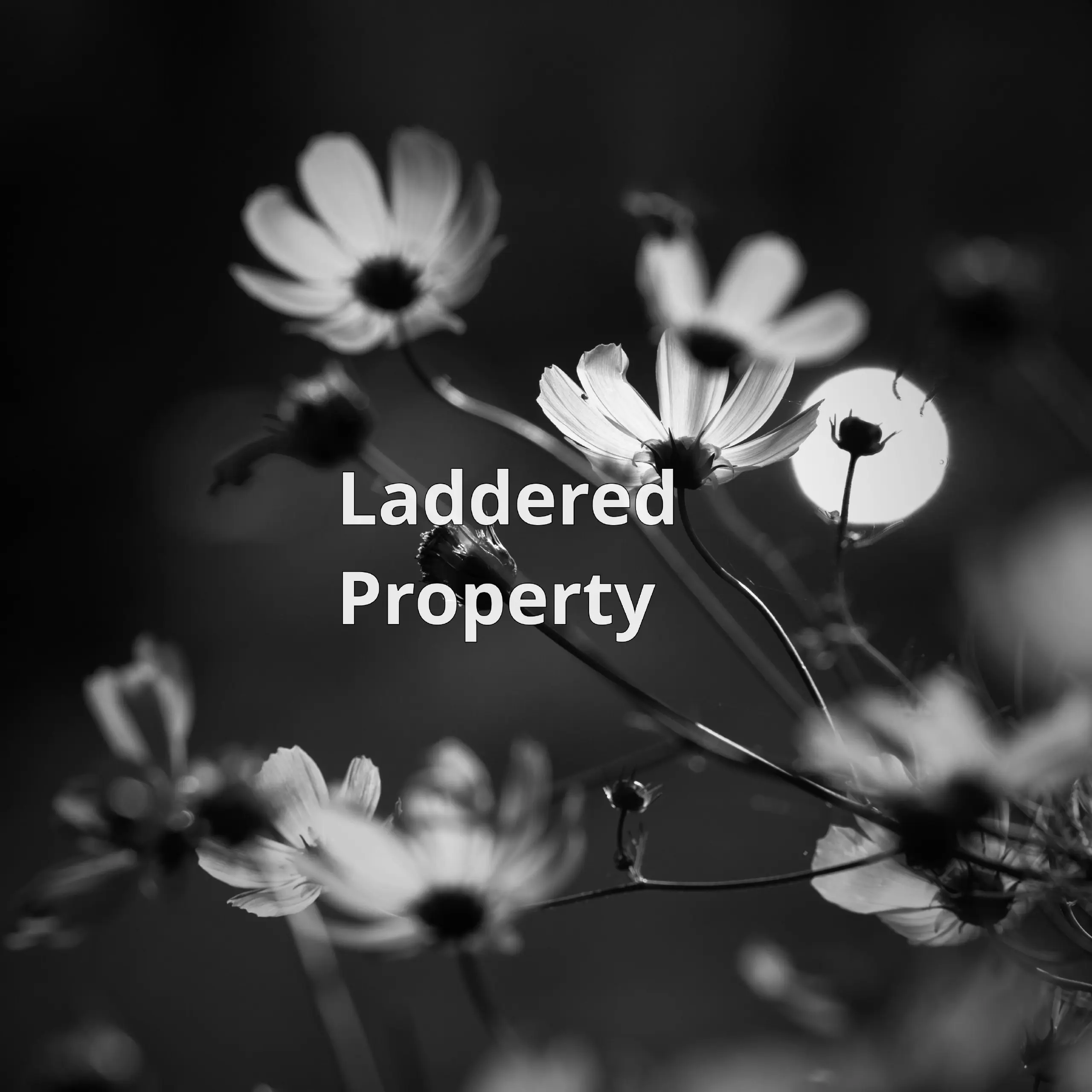 Laddered Property — сервис для совместной покупки недвижимости без лишних конфликтов.
Идея простая: вы заранее договариваетесь о правилах, а приложение помогает их соблюдать | Сетка — социальная сеть от hh.ru