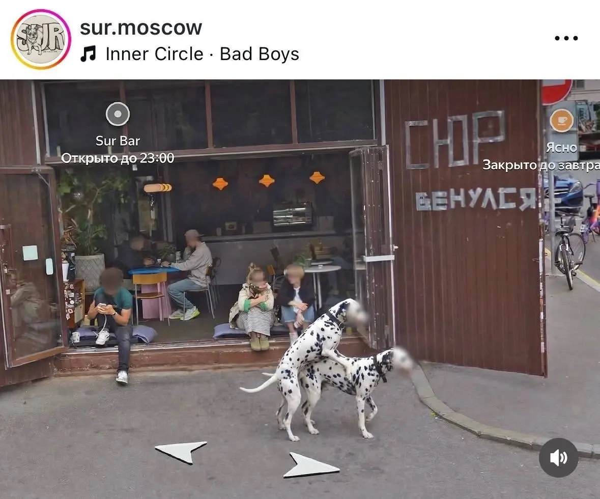 К нам можно с собаками
Московский бар Сюр выложил пост с какающей собакой, чтобы привлечь внимание собачников.
Ну тут сразу понятна целевая аудитория ;) | Сетка — социальная сеть от hh.ru