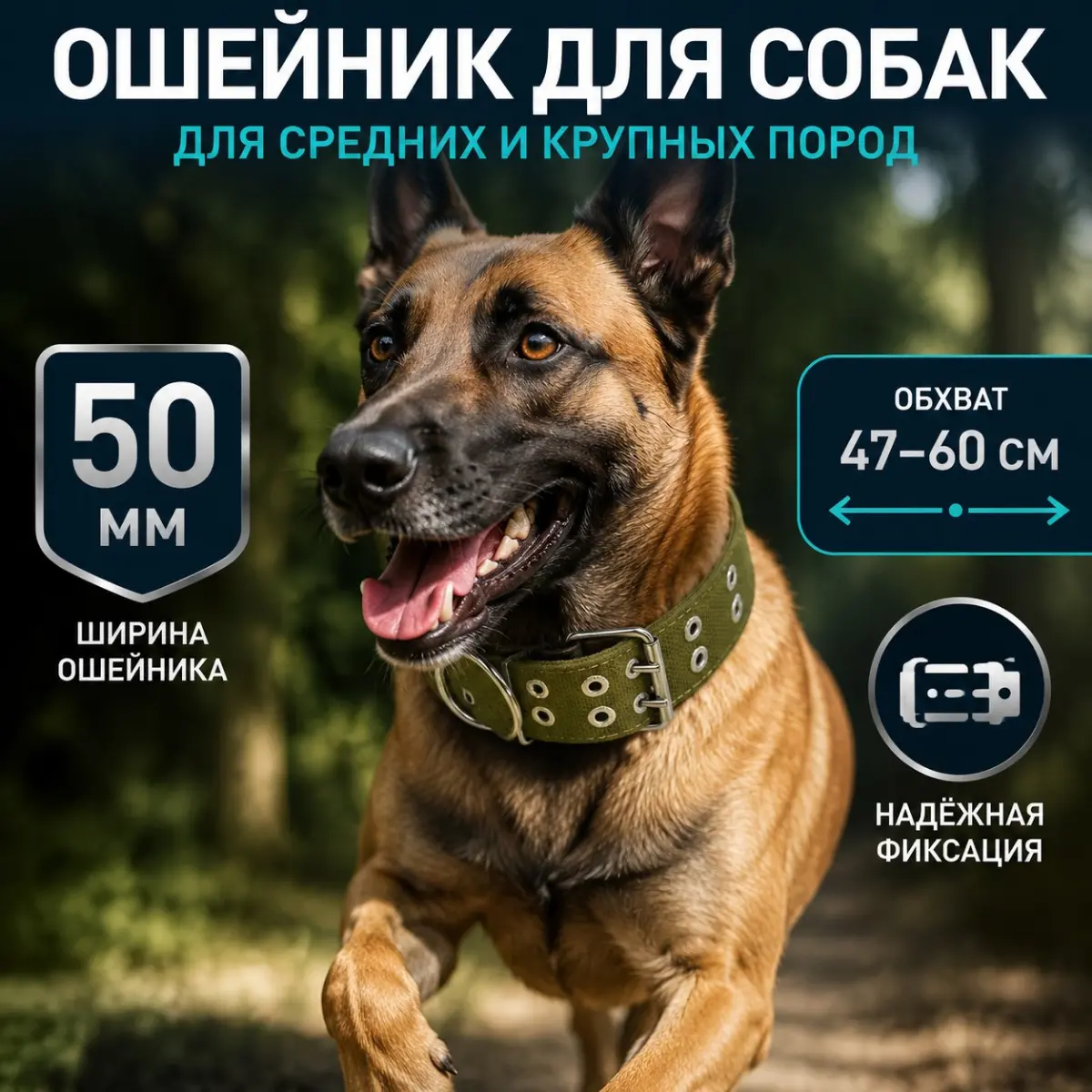 От цифр к эмоциям: сила дизайна💪
Эта собака выглядит счастливой благодаря чему? Правильно — удобной амуниции. Вот как я перевожу сухие данные в эмоции.
- Ширина 50 мм → Удобство даже для крупных собак | Сетка — социальная сеть от hh.ru