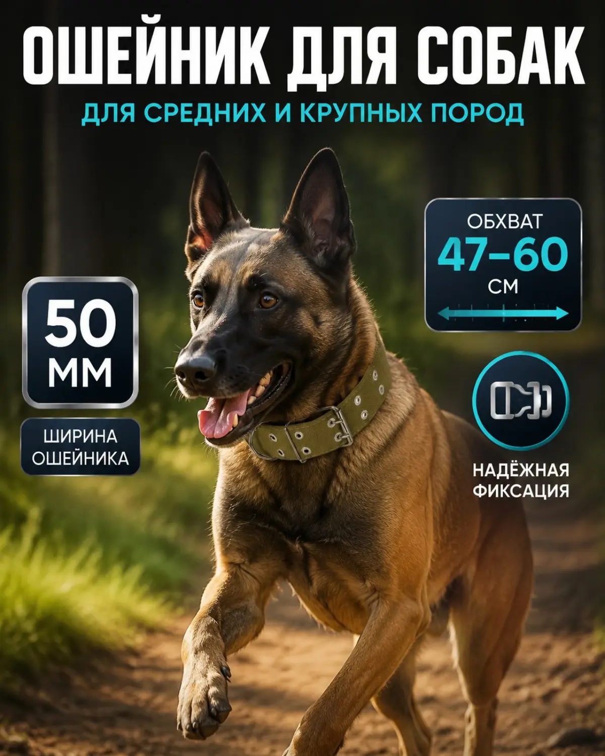 От цифр к эмоциям: сила дизайна💪
Эта собака выглядит счастливой благодаря чему? Правильно — удобной амуниции. Вот как я перевожу сухие данные в эмоции.
- Ширина 50 мм → Удобство даже для крупных собак | Сетка — социальная сеть от hh.ru
