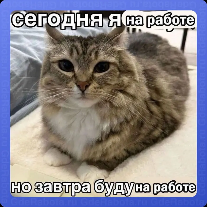 😭 И так до ноября: следующая укороченная рабочая неделя будет со 2 по 6 ноября, где 3 ноября сокращённый день, а 4 — выходной
Смотрите производственный календарь
#работа #GdeRabota #вакансии | Сетка — социальная сеть от hh.ru