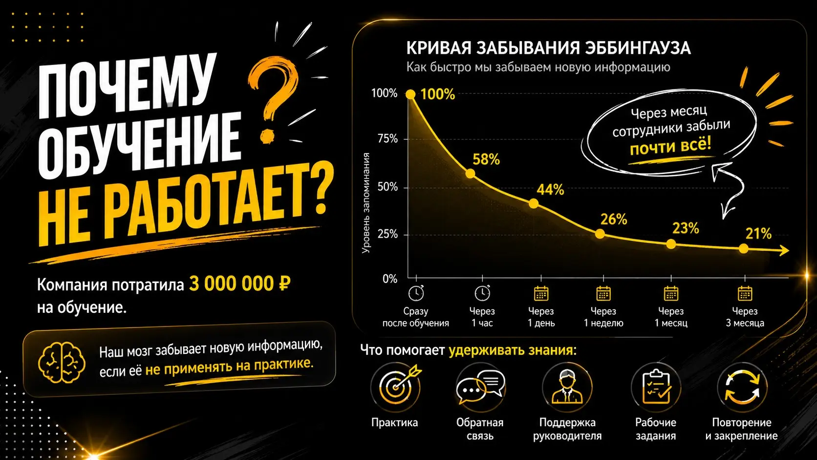 Потратили 3 млн ₽ на обучение и нет никакого результата? | Сетка — социальная сеть от hh.ru