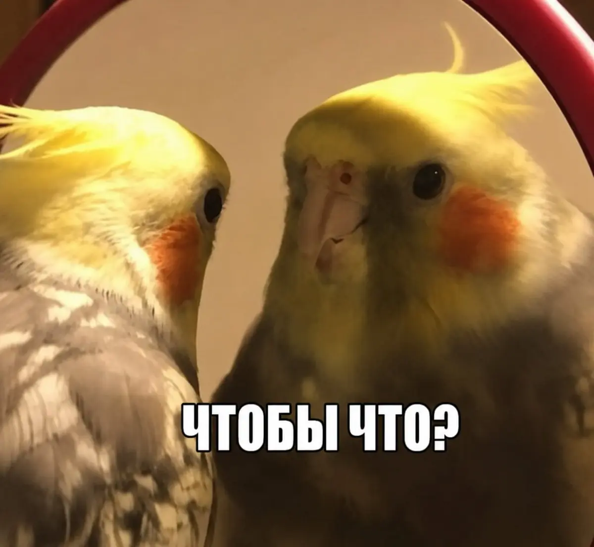 Почему хорошие продакты получают автоотказы | Сетка — социальная сеть от hh.ru