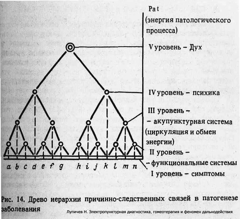 Надёжный критерий быстрой оценки любого партнёра | Сетка — социальная сеть от hh.ru