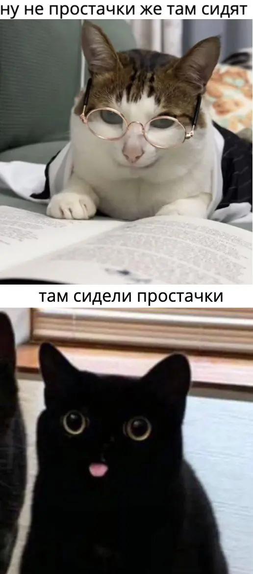 Я как-то читала тендерное ТЗ, где за 20 дней нужно было провести аудит всей компании, которая пусть и не кровавый энтерапрайз, но очень туда стремится | Сетка — социальная сеть от hh.ru