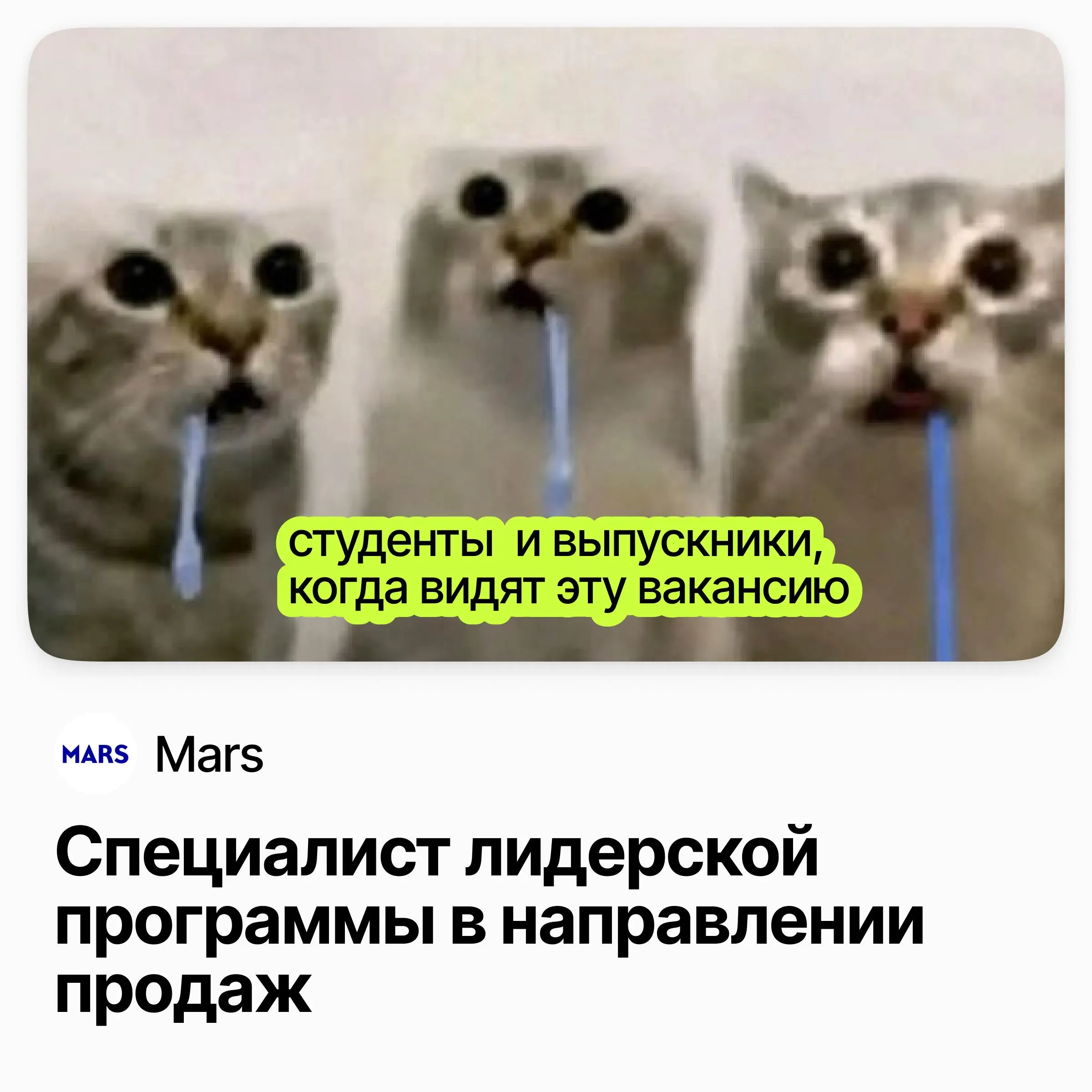 🎯 Специалист лидерской программы в направлении продаж / Mars
Mars — семейная FMCG-компания с всемирно известными брендами.
Curiosity — двухлетняя оплачиваемая программа развития внутри отдела продаж | Сетка — социальная сеть от hh.ru