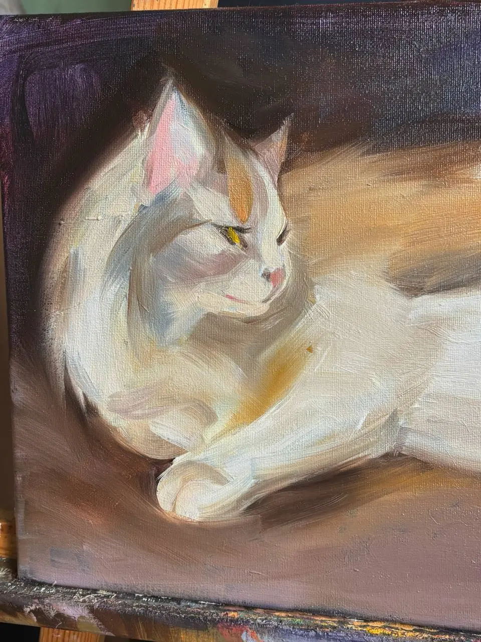 разбавим серьезность будней этюдом с кошечкой 🐱 | Сетка — социальная сеть от hh.ru