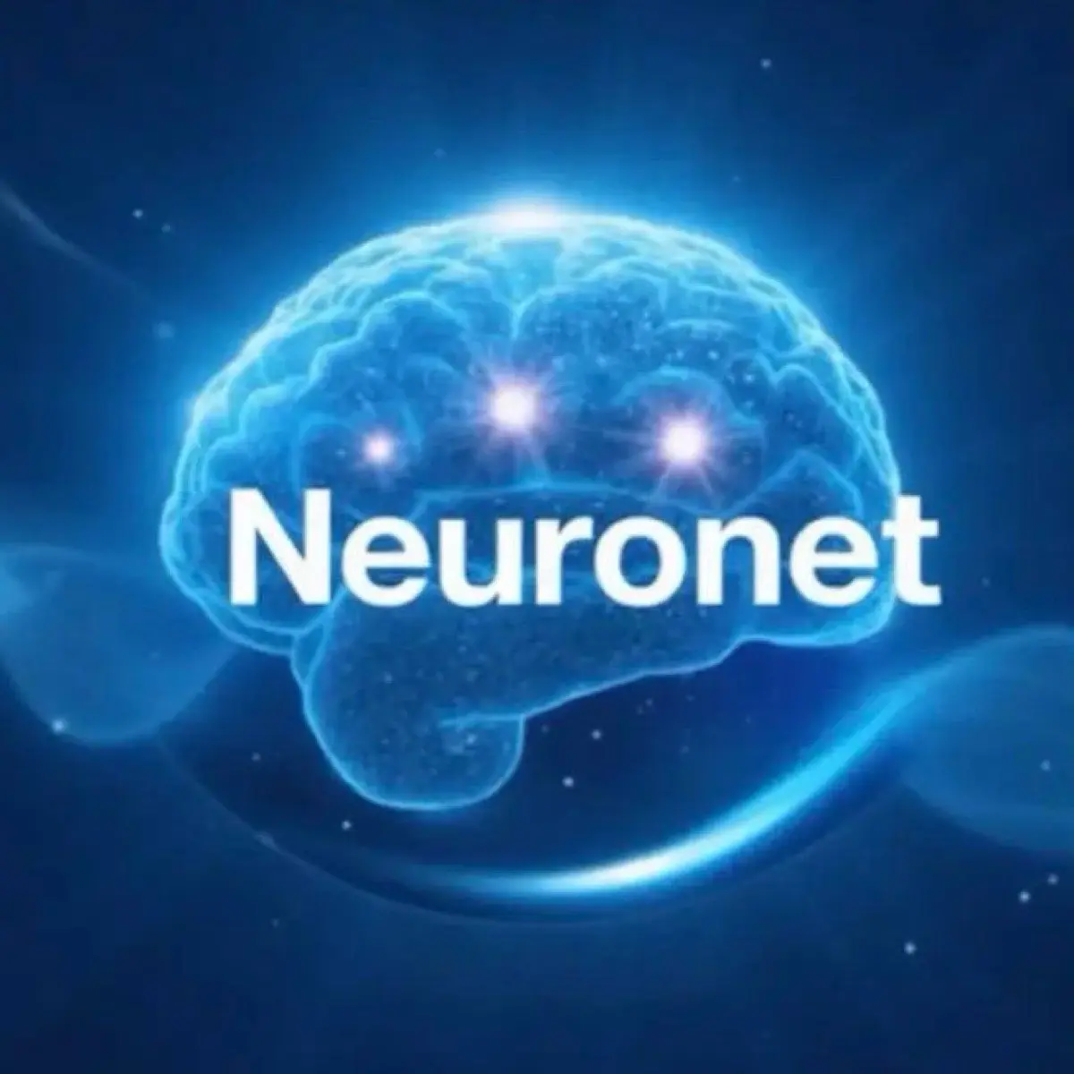 Neuronet Ecosystem