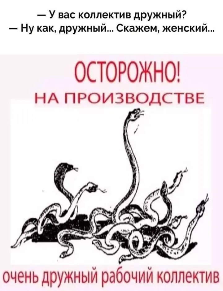А как вам коллектив ...? | Сетка — социальная сеть от hh.ru