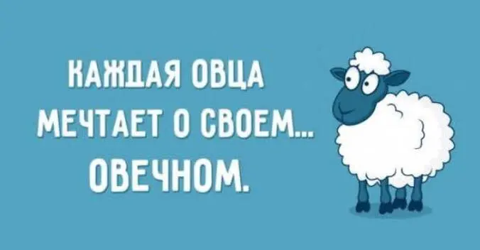 Люди Травоядных Видотипов | Сетка — социальная сеть от hh.ru