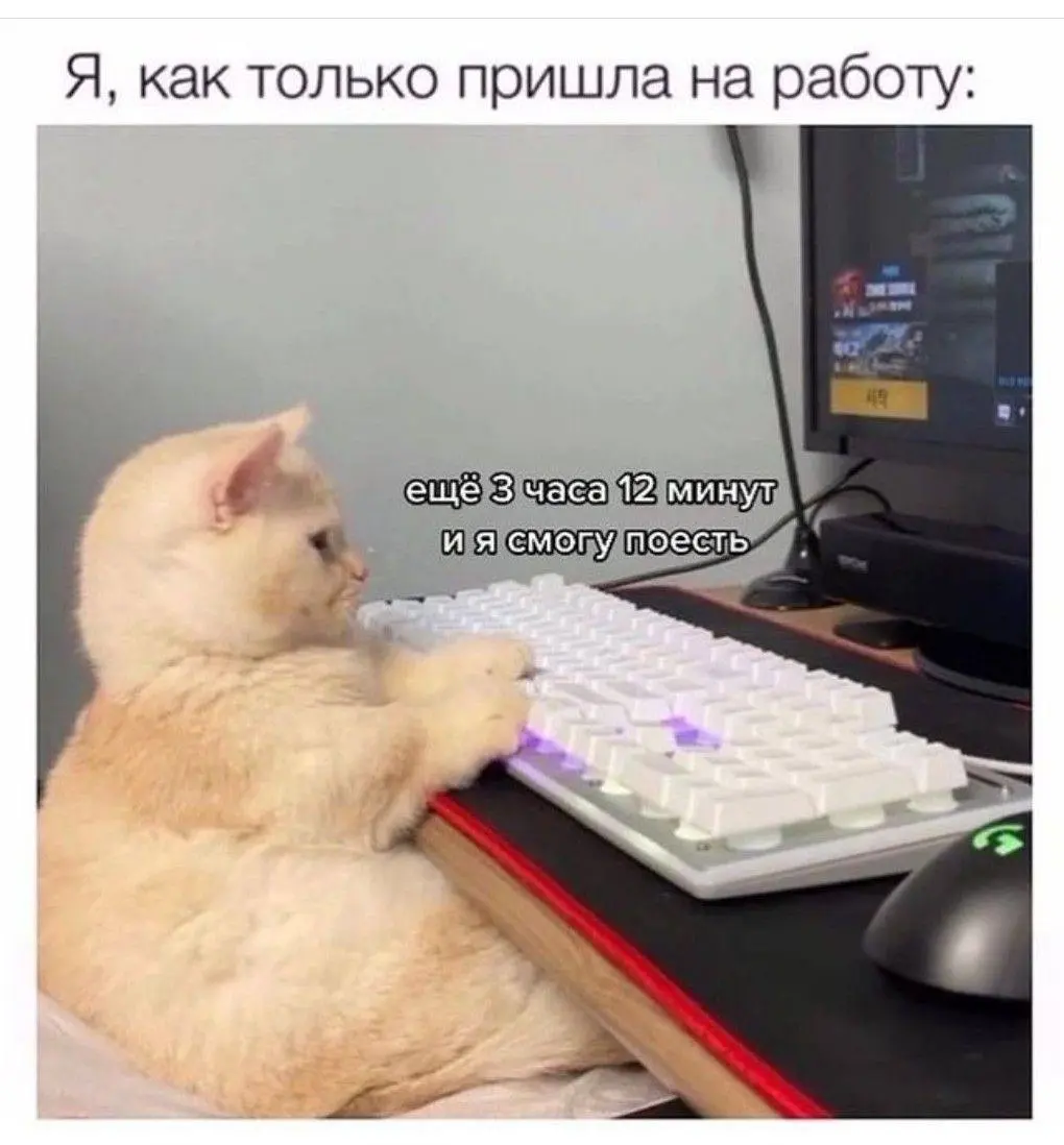 Обэд - это лучшая часть рабочего дня) Верно? | Сетка — социальная сеть от hh.ru
