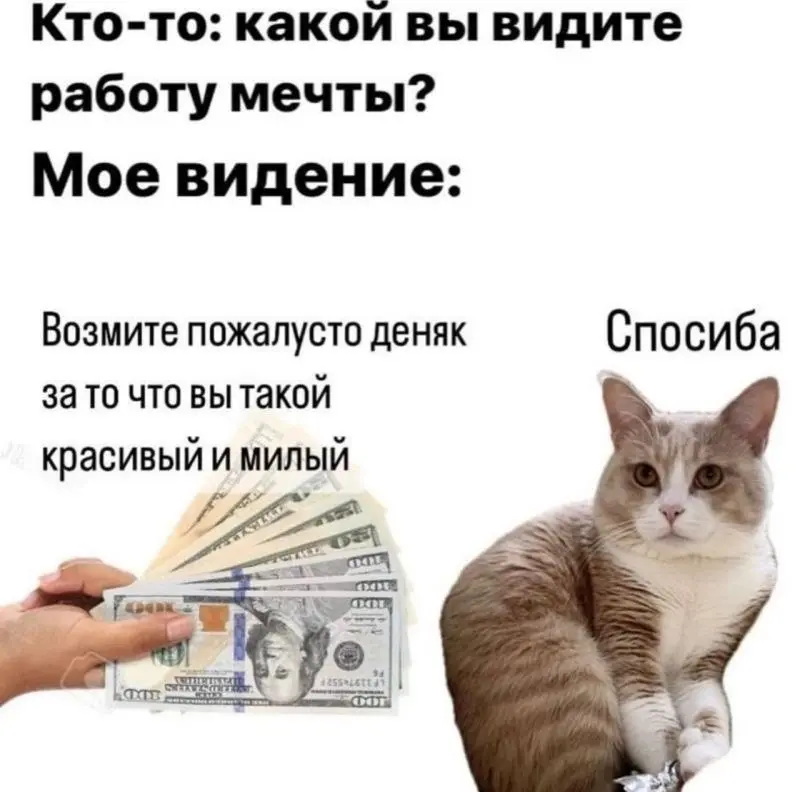 #cats | Сетка — социальная сеть от hh.ru