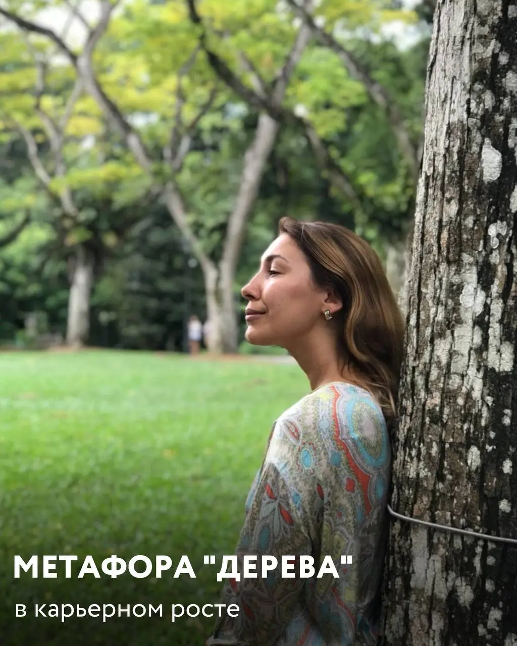 Я смотрю на карьерный рост через метафору дерева | Сетка — социальная сеть от hh.ru