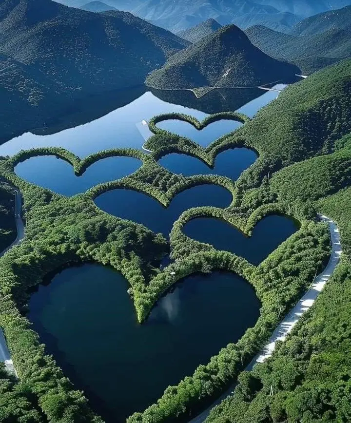 🌳🏖️🏝️🪴🏡Прогулки по паркам, пикники на природе, пляжный отдых, уединения в любимом месте с книгой "Мысли" обретают свежий взгляд на мир, на себя | Сетка — социальная сеть от hh.ru