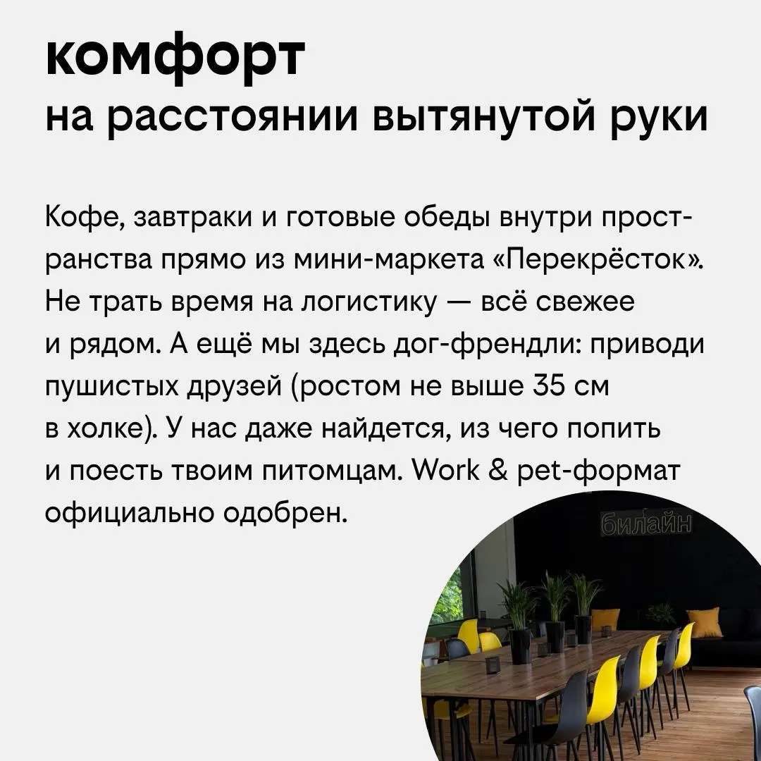 📍 Работа, отдых и семья — теперь в одной локации | Сетка — социальная сеть от hh.ru