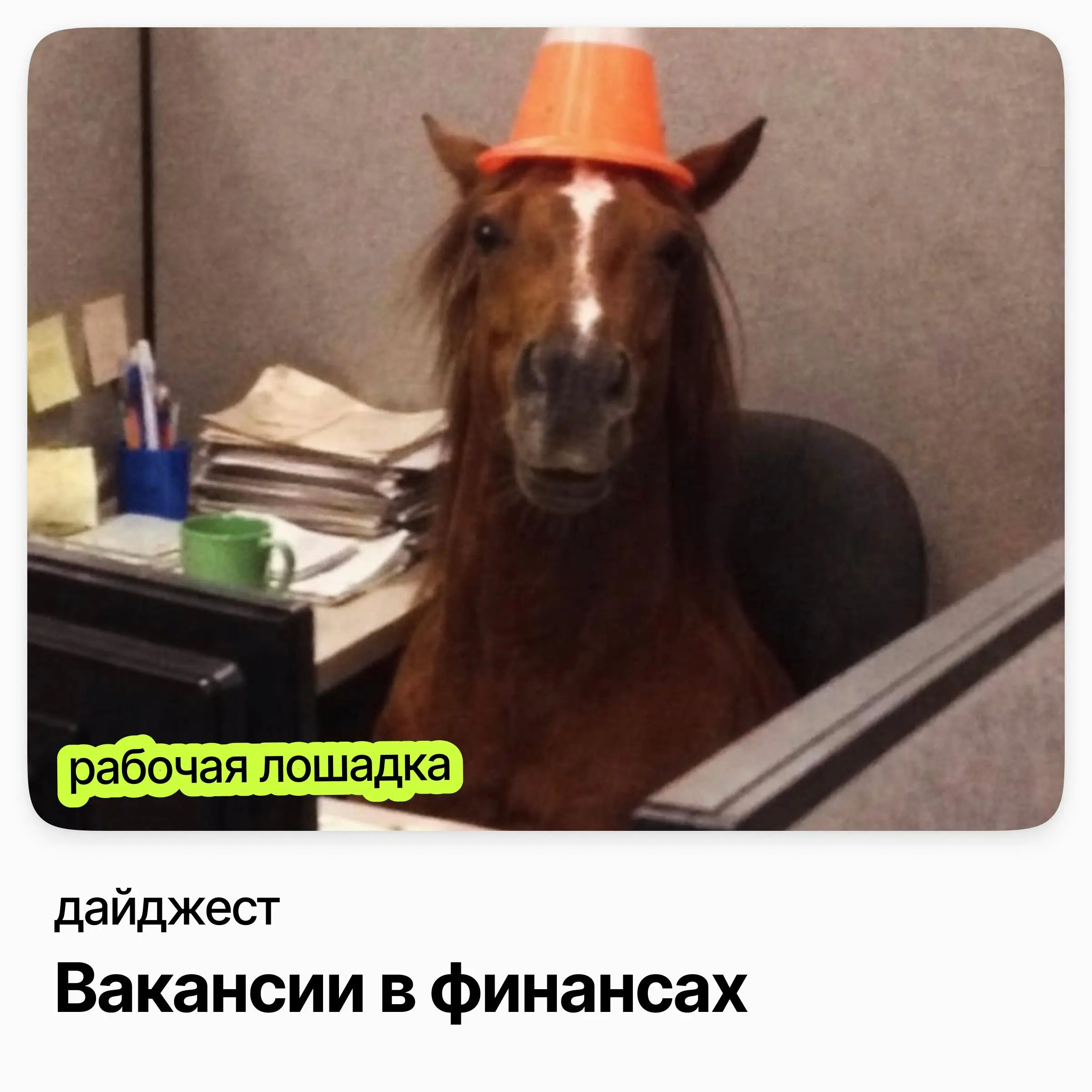 💼💼💼Подборка вакансий в финансах
Руководитель проекта по управлению рисками / Газпром Нефть
Зарплата: от 187 000 ₽
Подробнее
Финансовый директор (CFO) / ЭР-Телеком
Зарплата: от 155 000 ₽
Подробнее
Фина... | Сетка — социальная сеть от hh.ru