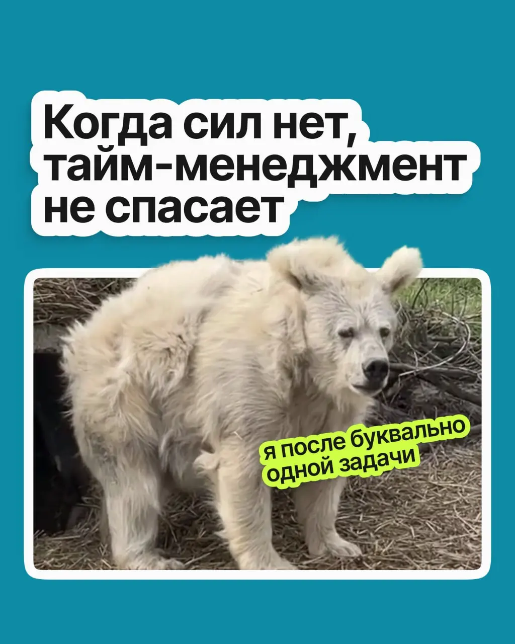 Вы перепробовали всё: планировщики, тайм-блокинг, метод помидора. День расписан идеально, но к обеду вы выжаты, и важные задачи снова переползают на завтра | Сетка — социальная сеть от hh.ru