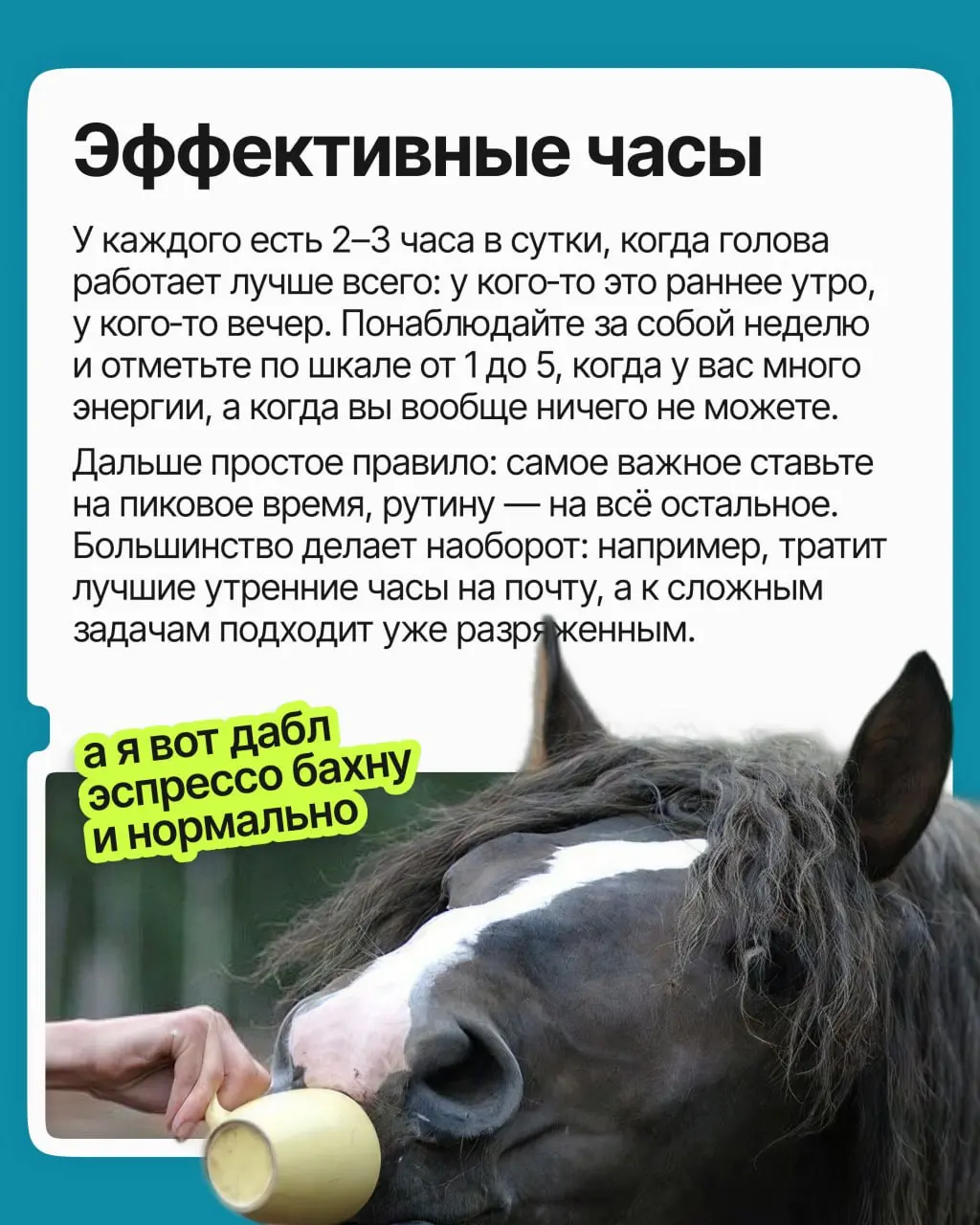 Вы перепробовали всё: планировщики, тайм-блокинг, метод помидора. День расписан идеально, но к обеду вы выжаты, и важные задачи снова переползают на завтра | Сетка — социальная сеть от hh.ru