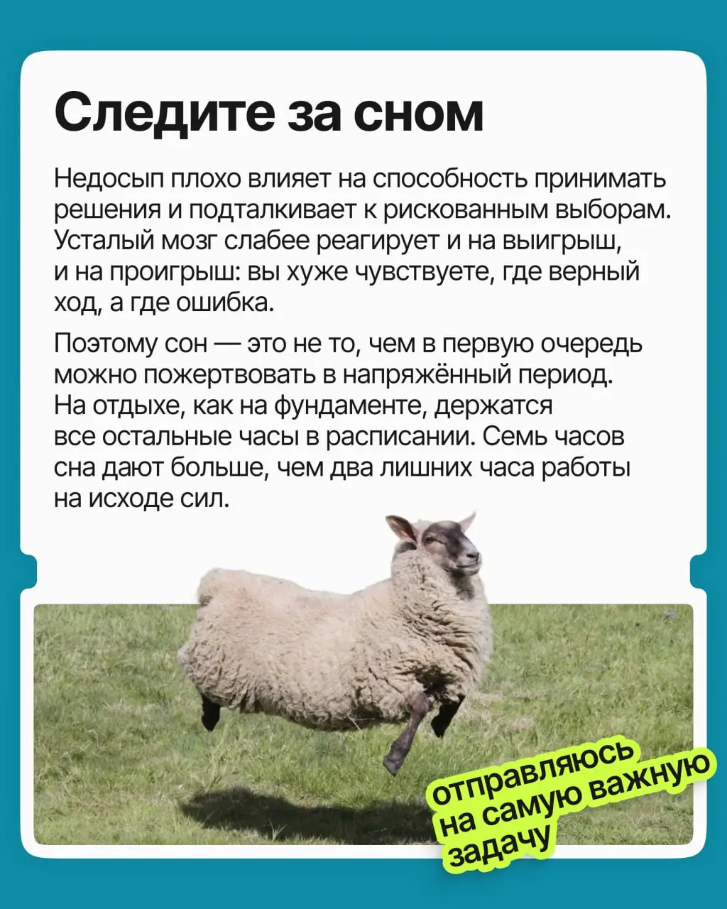 Вы перепробовали всё: планировщики, тайм-блокинг, метод помидора. День расписан идеально, но к обеду вы выжаты, и важные задачи снова переползают на завтра | Сетка — социальная сеть от hh.ru