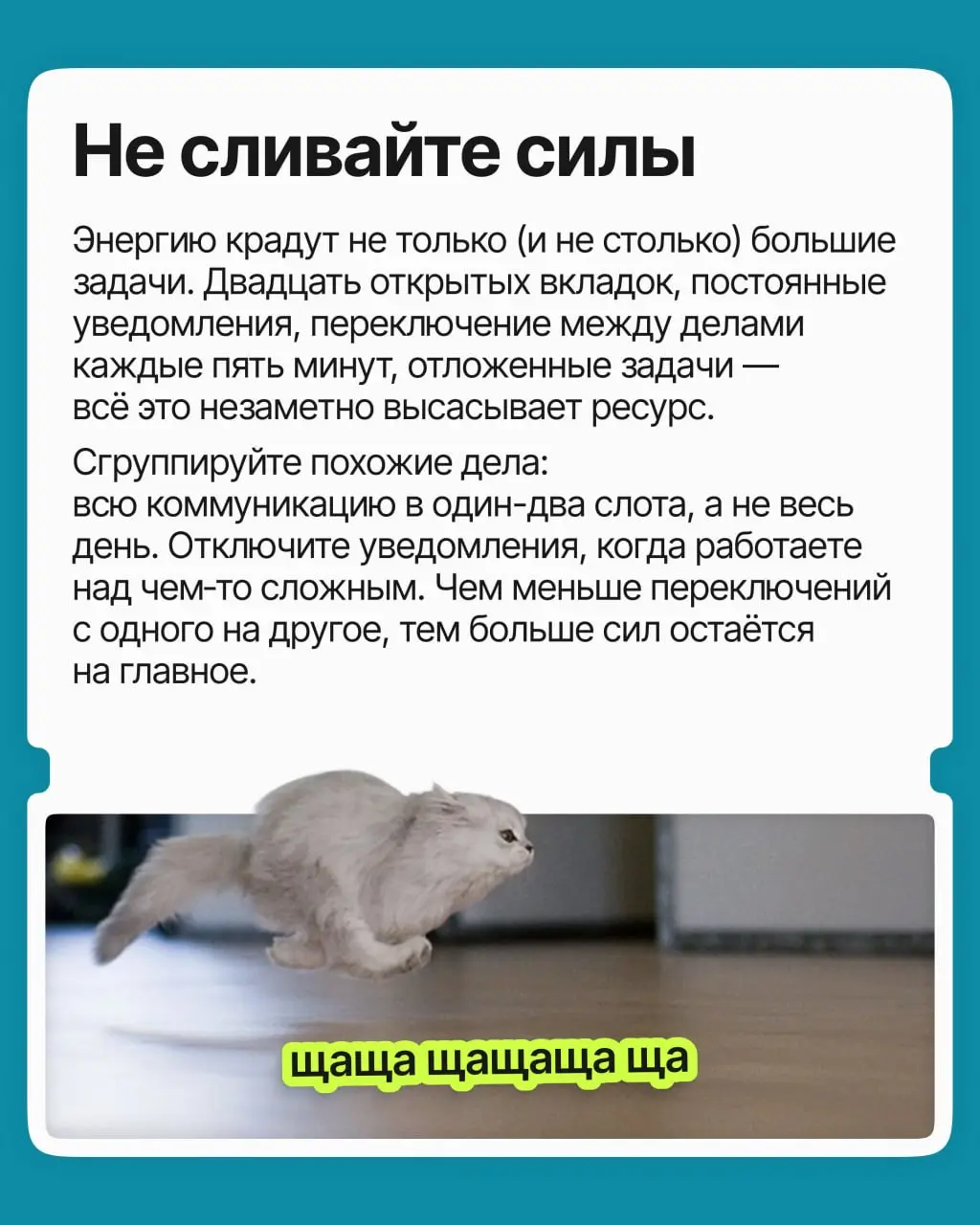 Вы перепробовали всё: планировщики, тайм-блокинг, метод помидора. День расписан идеально, но к обеду вы выжаты, и важные задачи снова переползают на завтра | Сетка — социальная сеть от hh.ru