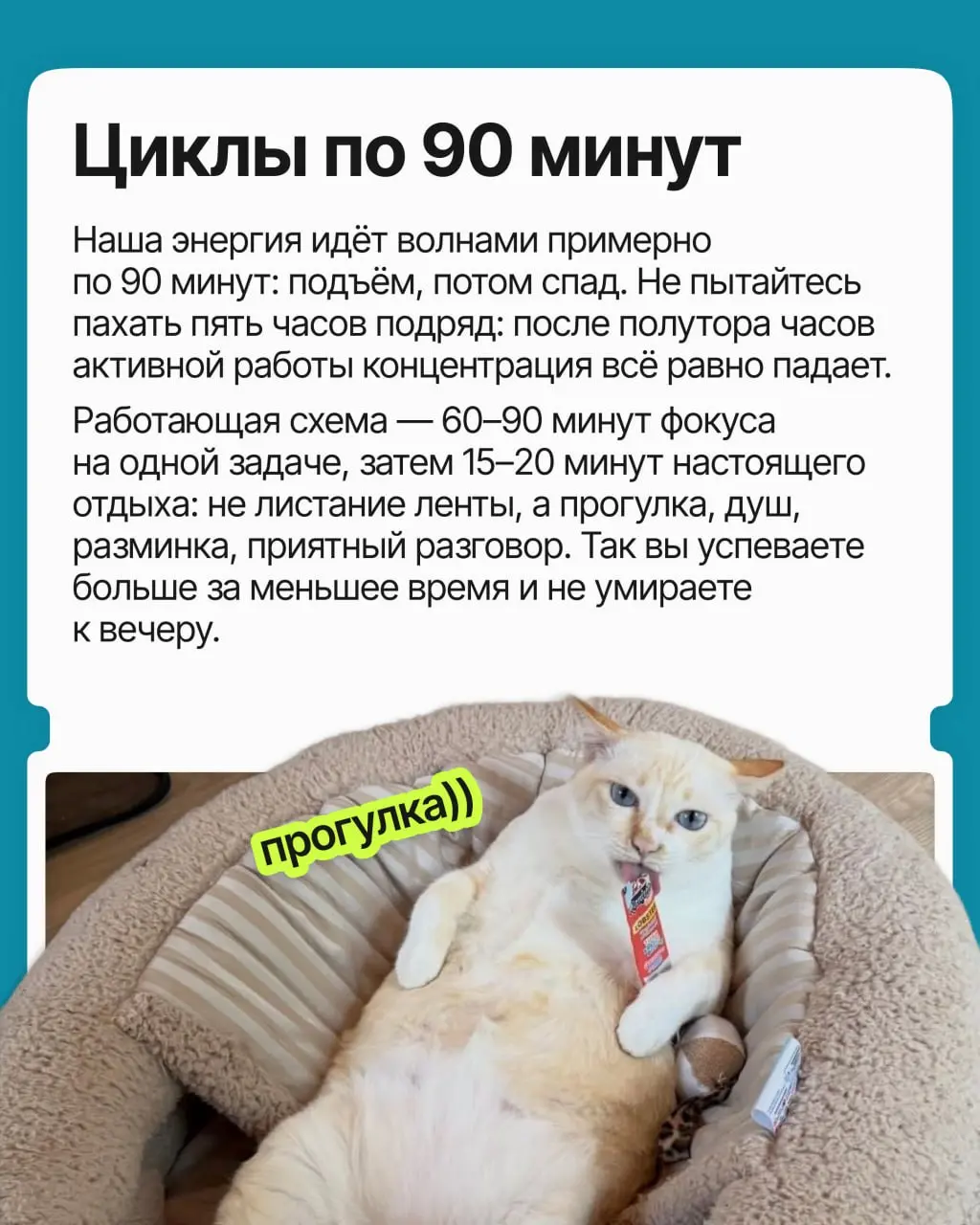Вы перепробовали всё: планировщики, тайм-блокинг, метод помидора. День расписан идеально, но к обеду вы выжаты, и важные задачи снова переползают на завтра | Сетка — социальная сеть от hh.ru