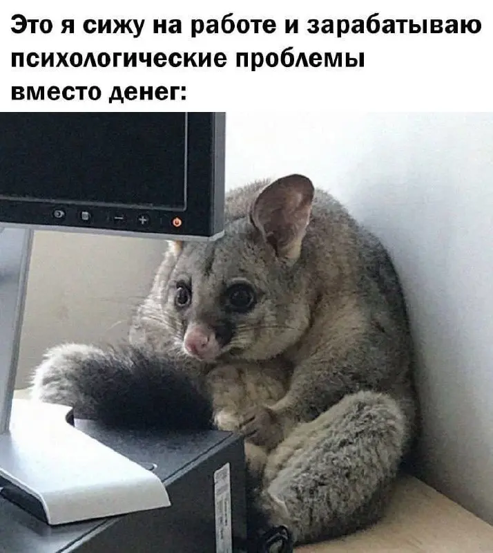 Вместо тысячного созвона — один мем. Подписывайся 😎 | Сетка — социальная сеть от hh.ru