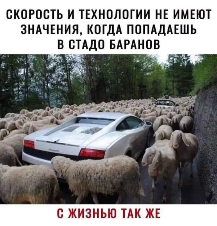 #мемдня А хочется написать #меммоегодна
Давно не делилась.
Исправляюсь.
Как вы там? | Сетка — социальная сеть от hh.ru