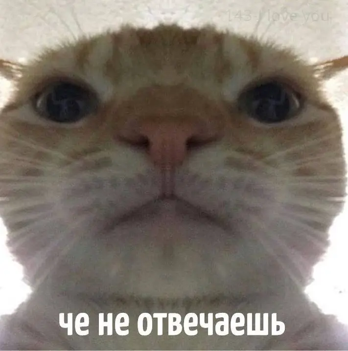 В чем дело? | Сетка — социальная сеть от hh.ru
