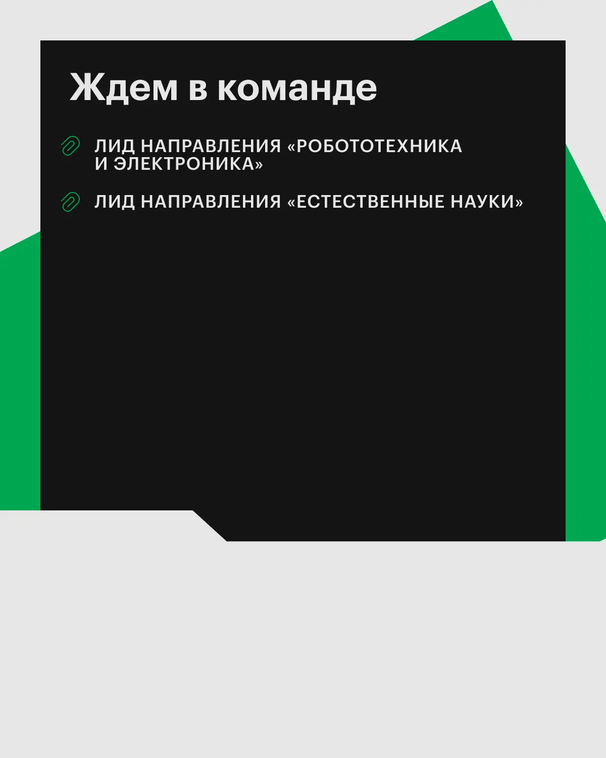 Ищем экспертов, которые возглавят новые направления 🌐 | Сетка — социальная сеть от hh.ru