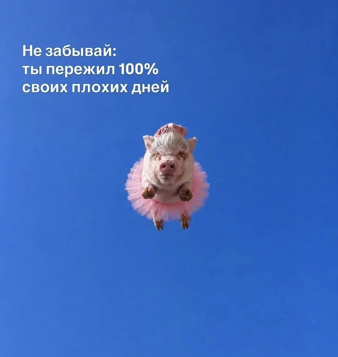 Все будет офигенно | Сетка — социальная сеть от hh.ru