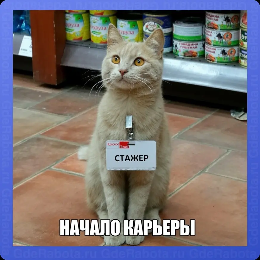 Все мы когда-то начинали этот долгий и насыщенный путь 🤓
Вакансии на стажировку
#работа #GdeRabota #вакансии | Сетка — социальная сеть от hh.ru